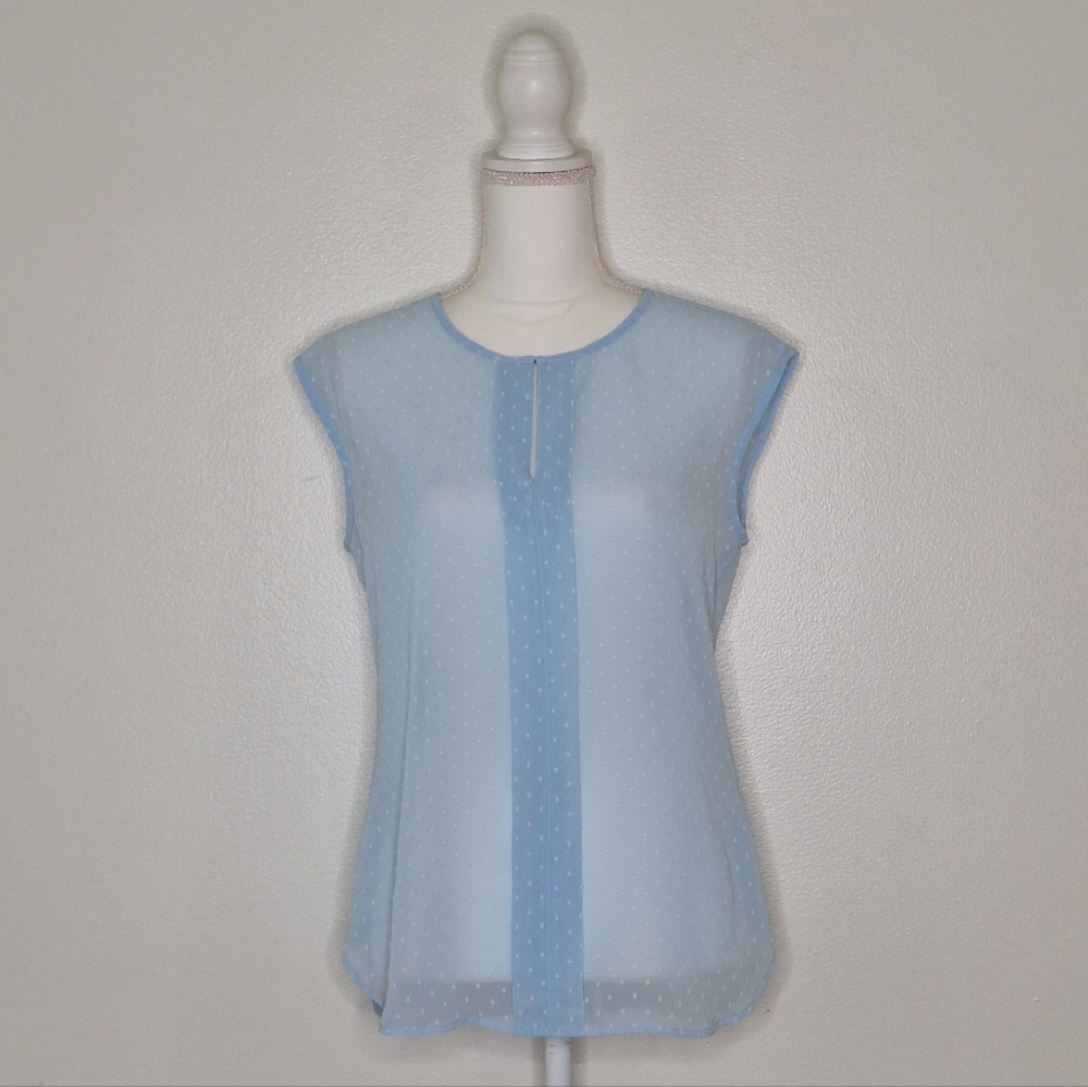 J.Crew Factory Light Blue Sheer Swiss Dot Cap Sleeve Blouse
